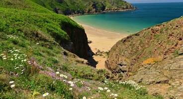 Jersey & Guernsey