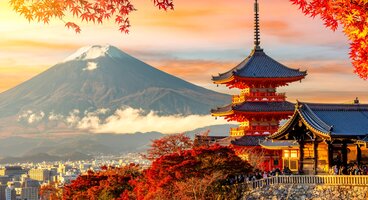 A Taste of Japan