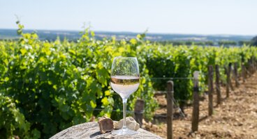 The Wine Villages of the Burgundy