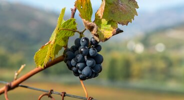 Wine Villages of the Douro Valley
