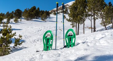 Alpine Snowshoeing in the Andorra Pyrenees