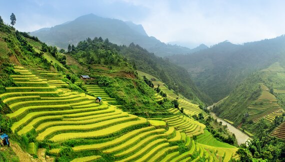 Vietnam